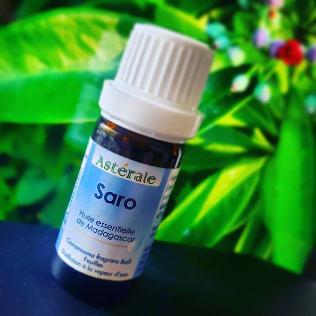 Saro – Un trésor malgache