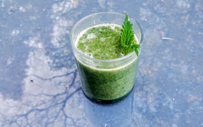 Smoothie d’orties – Un concentré d’énergie