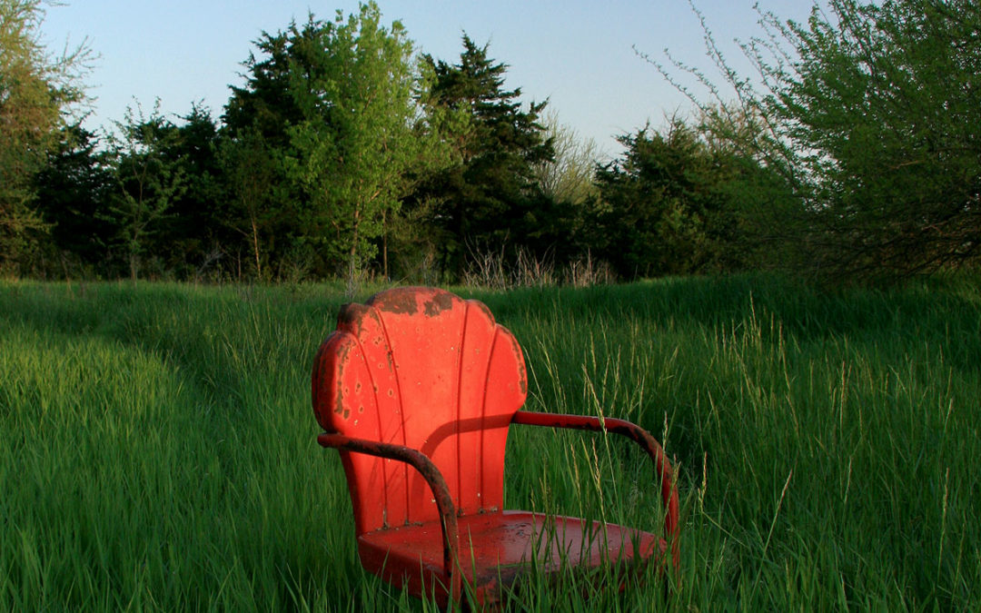 L&rsquo;écothérapie, plaidoyer pour la sortie du cabinet