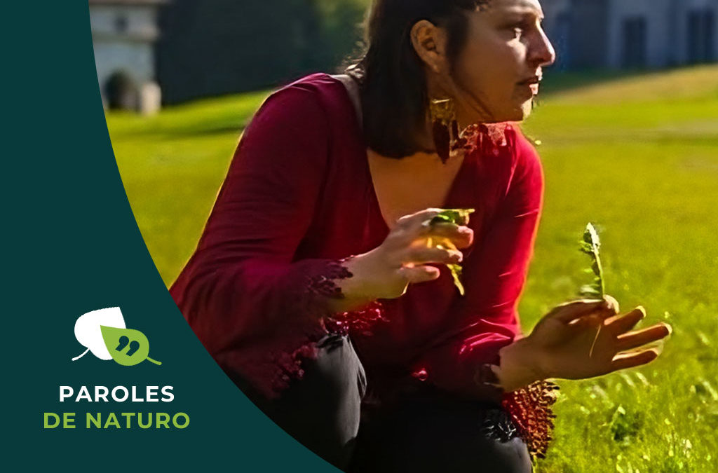 La place des plantes dans la naturopathie