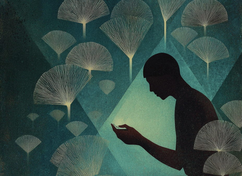 Mycothérapie : quels bienfaits du maitake pour réguler la glycémie selon les études cliniques ?